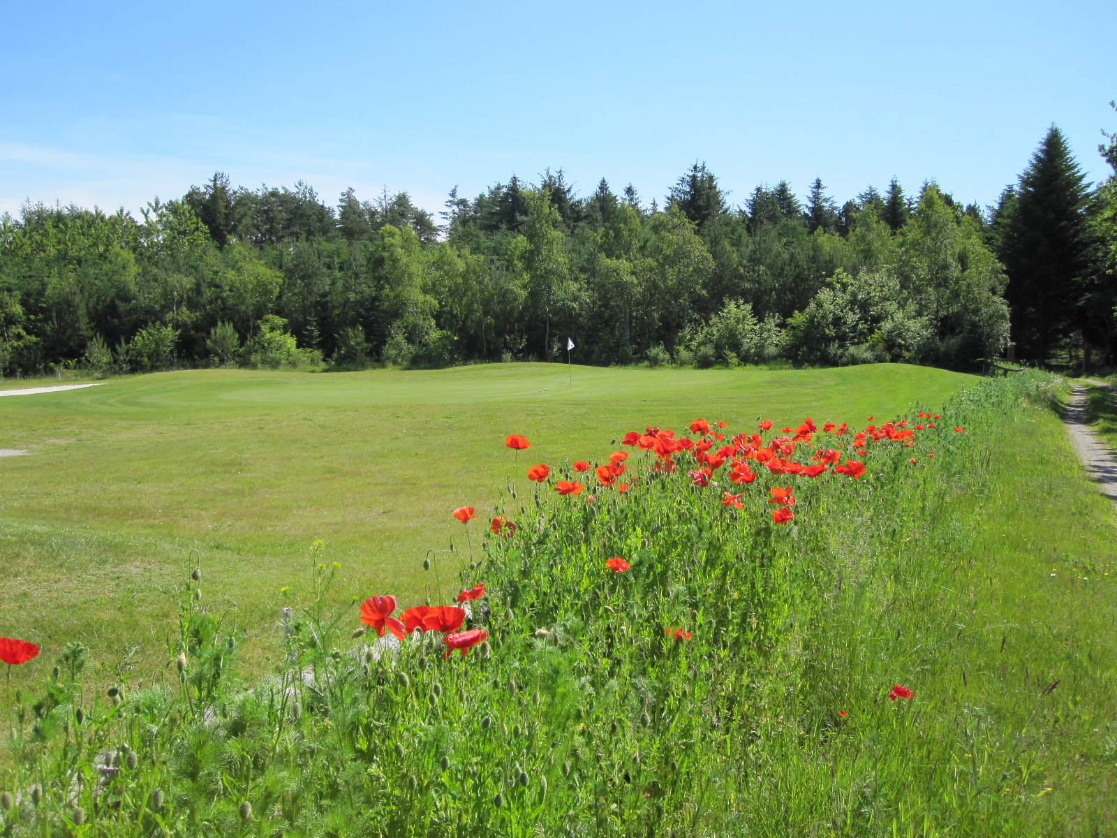 Restaurant til Golfophold i Tversted
